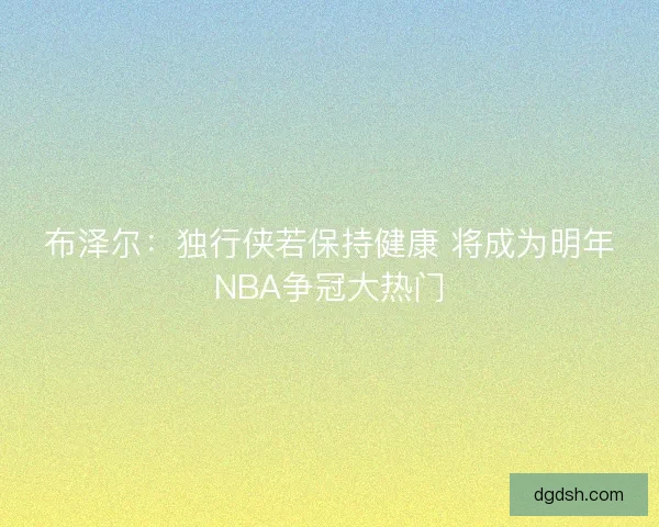 布泽尔：独行侠若保持健康 将成为明年NBA争冠大热门