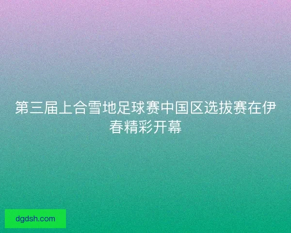 第三届上合雪地足球赛中国区选拔赛在伊春精彩开幕