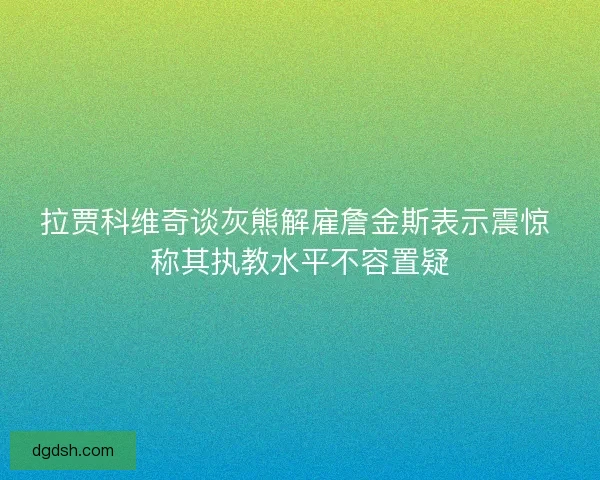 拉贾科维奇谈灰熊解雇詹金斯表示震惊 称其执教水平不容置疑 拉贾科维奇谈灰熊解雇詹金斯表示震惊 称其执教水平不容置疑
